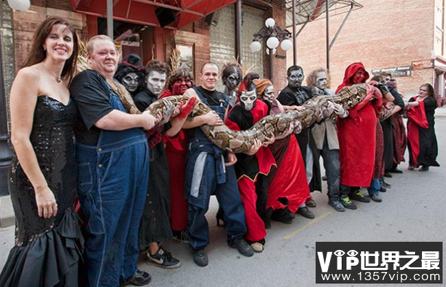 世界上最长的蛇 美杜莎的长度长达7.67米