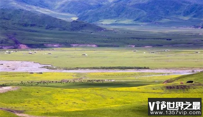 中国十大最美草原排名，新疆有两个上榜，让人去了就不想走的地方