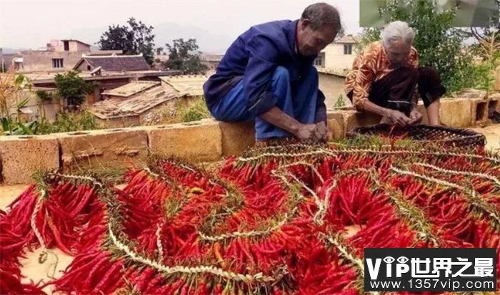 我国最能吃辣的九个省  各个都是无辣不欢  四川不是第一