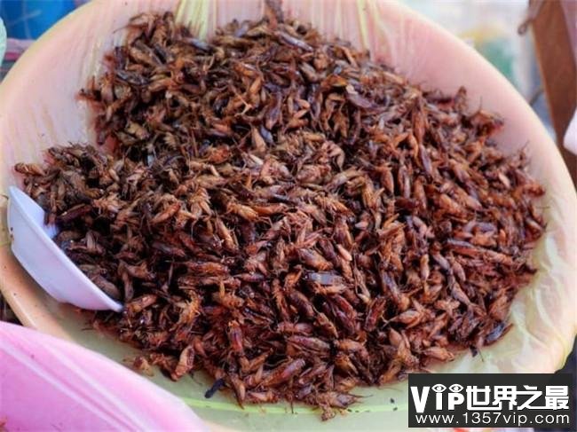 全球十大昆虫美食 中国活蝎子上榜