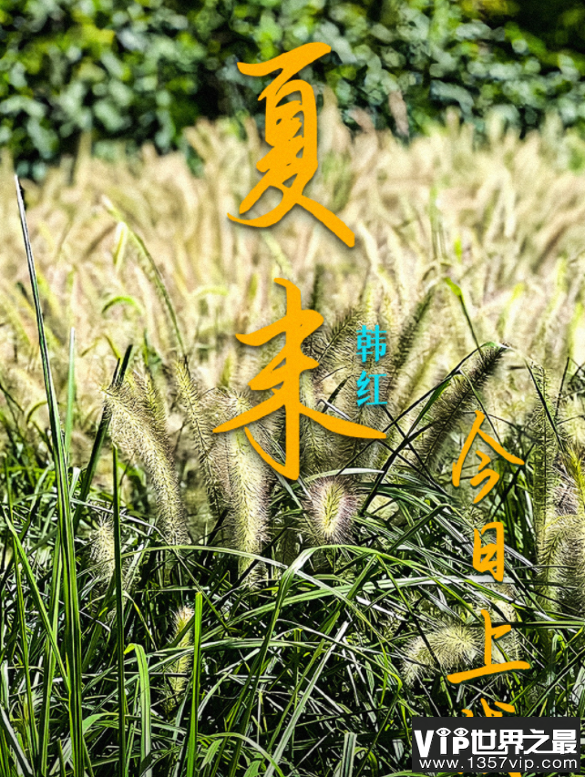 韩红新歌《夏末》歌词是什么 《夏末》歌词歌曲介绍