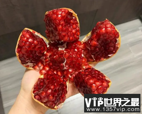 榴枝婀娜榴实繁榴膜轻明榴子鲜描写的是哪种秋季时令水果 蚂蚁庄园10月2日答案介绍