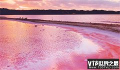 世界最浪漫的湖泊 湖面是粉红色（浪漫湖泊）