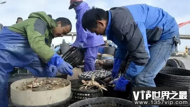 新疆没有海为什么能养海鲜 海鲜陆养是什么意思