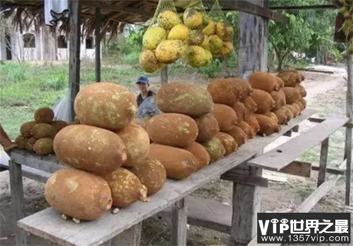 古布阿苏