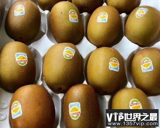 国庆出游去采摘更有可能采摘到哪种时令水果 蚂蚁庄园10月1日答案