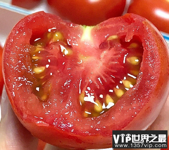 长期吃西红柿真的能变白吗 西红柿生吃好还是熟吃好