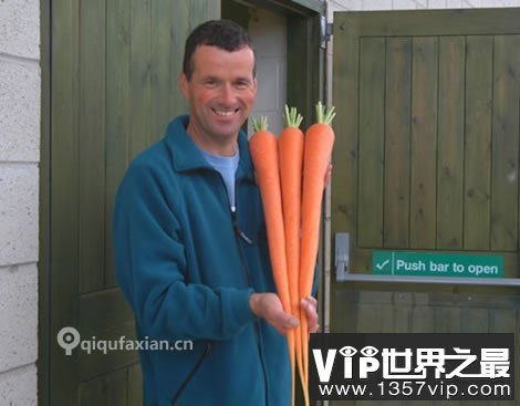 世界上最长的胡萝卜