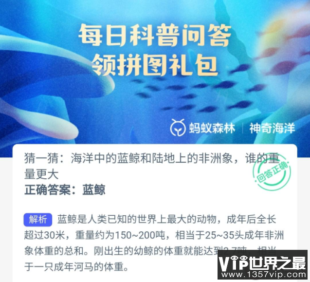 海洋中的蓝鲸和陆地上的非洲象谁的重量更大 神奇海洋10月20日答案