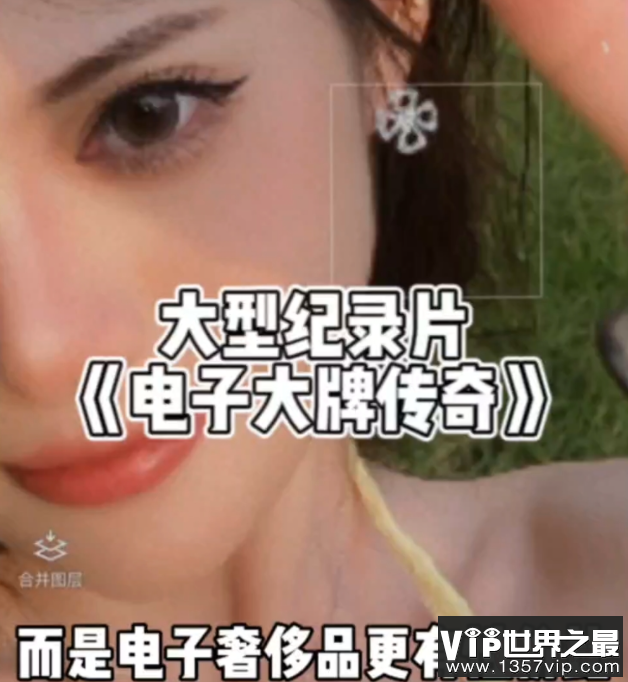 年轻人追捧电子大牌是虚荣吗 如何看待用电子大牌享富贵人生