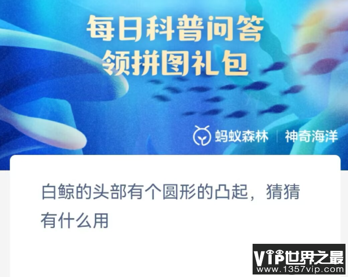 白鲸的头部有个圆形的凸起猜猜有什么用 神奇海洋10月26日答案