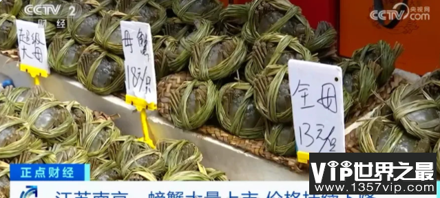 大闸蟹跌出白菜价是什么原因 大闸蟹应该如何挑选