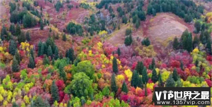 全球最美秋色地图 根据研究 今年最美秋色将在美国达到顶峰