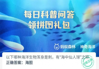 以下哪种海洋生物浑身是刺有海中仙人球之称 神奇海洋11月15日答案介绍