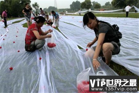 世界最长婚纱，4100米的婚纱你敢想象么