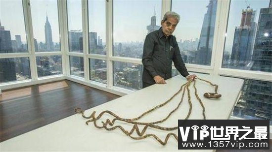 世界最长指甲，全场9米多有一辆公交车那么长！