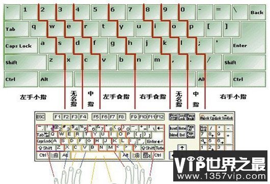 打字速度最快，这手速得多少年才能练出来