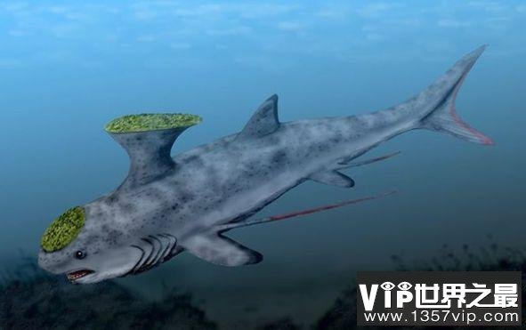 史前十大海洋霸主 巨齿鲨被称为“地球史上最强悍的生物”