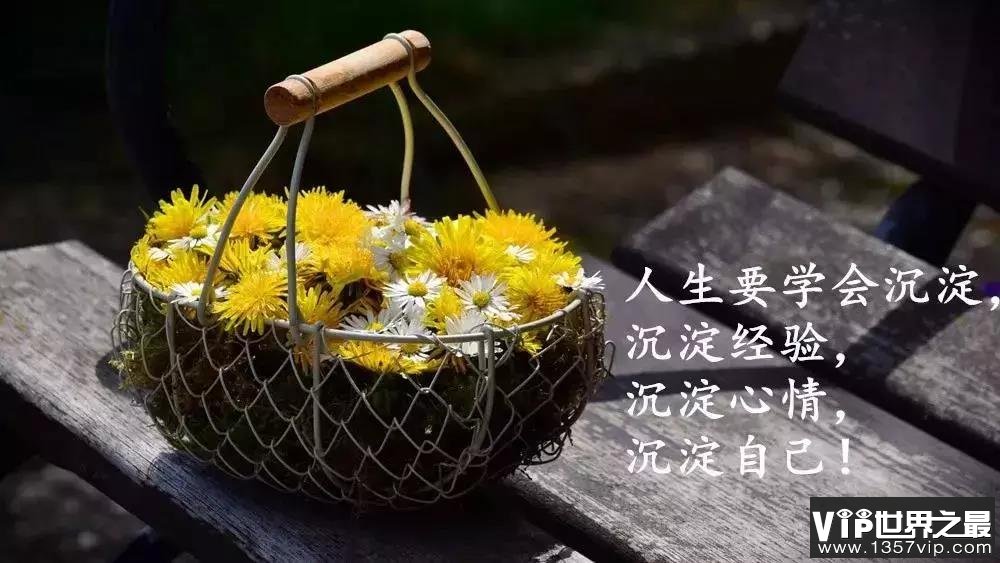 阳光简短励志的唯美句子