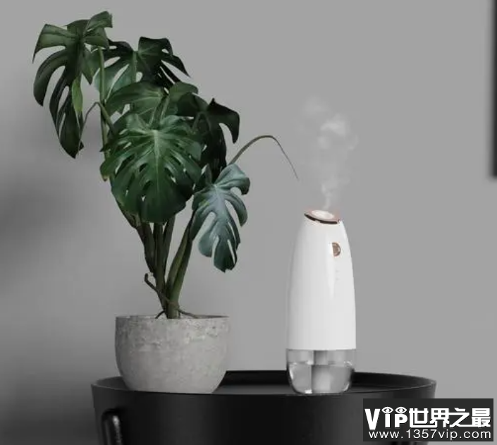 不当使用加湿器可能导致呼吸道感染吗 如何正确使用加湿器