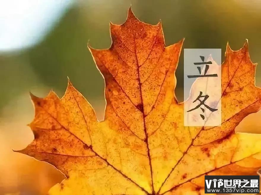 关于立冬的唯美句子