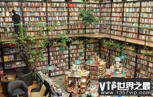 世界上最大的书店，占地面积有15个篮球那么大