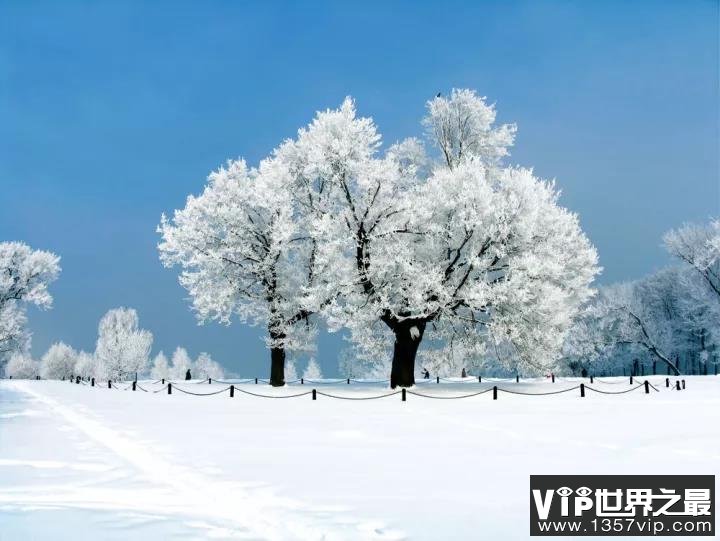 雪的唯美诗句