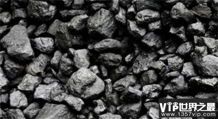 煤炭生成之谜解密：数十米厚的煤层  植物又是如何变成煤的