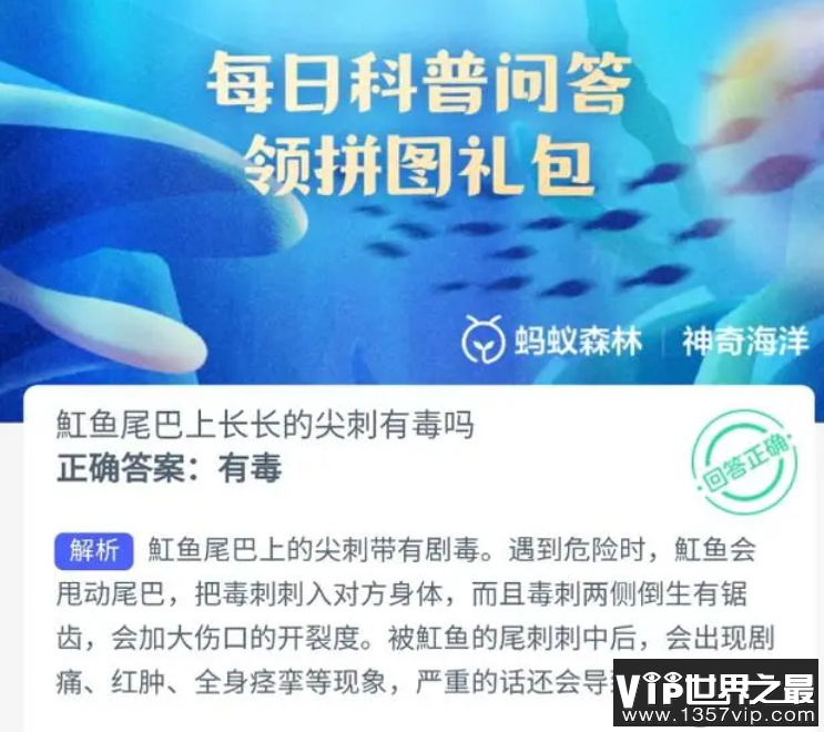 魟鱼尾巴上长长的尖刺有毒吗 神奇海洋12月11日答案