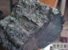 世界上最贵的木材，有着东方神木和植物木乃伊之称