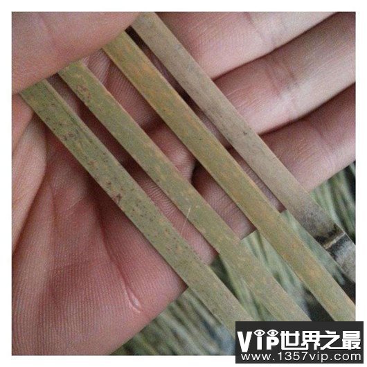 中国十大可怕盅术，驱毒害人之术