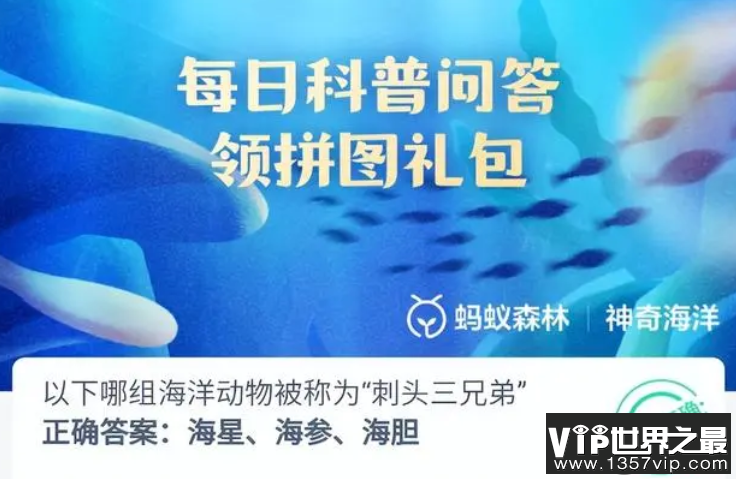 以下哪组海洋动物被称为刺头三兄弟 神奇海洋12月14日答案