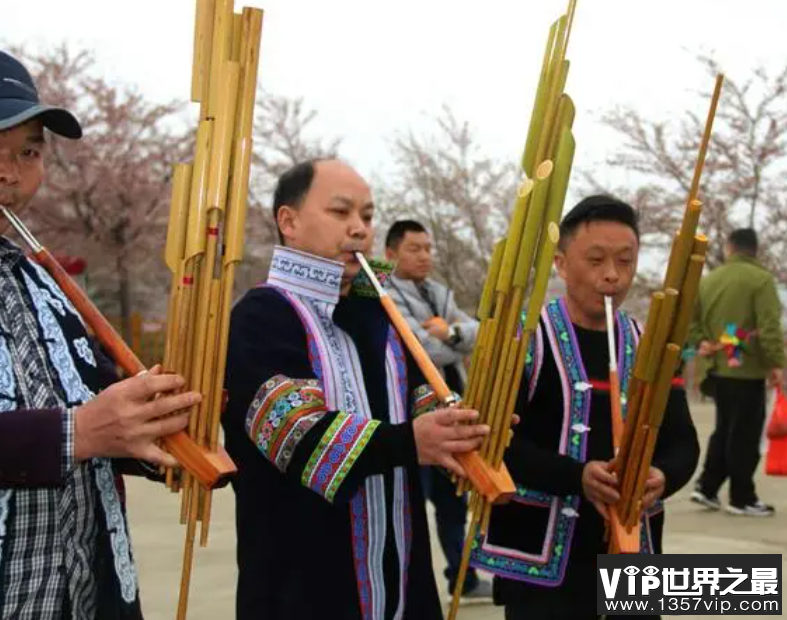 以下哪个少数民族的芦笙制作技艺入选了国家级非遗名录 蚂蚁新村12月15日答案
