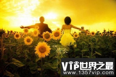 唯美心痛的伤感句子