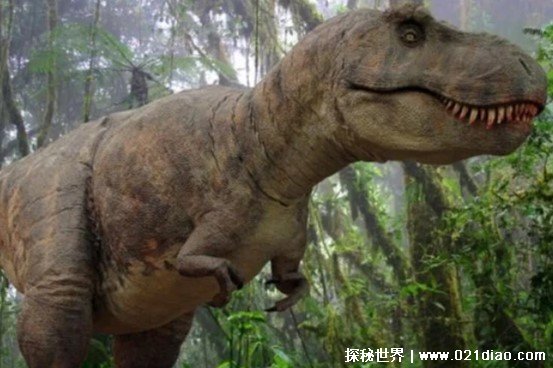 体长20米体重18吨 咬合力是霸王龙两倍的动物是哪种（普鲁斯鳄）