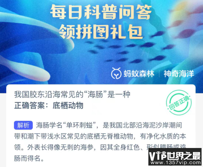 我国胶东沿海常见的海肠是一种什么动物 神奇海洋12月2日答案