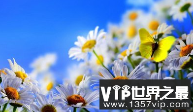 聚会的唯美句子