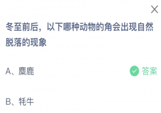 冬至前后以下哪种动物的角会出现自然脱落的现象 蚂蚁庄园12月22日答案