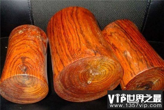 中国十大珍惜树种，珙桐被称为植物界的“活化石”！