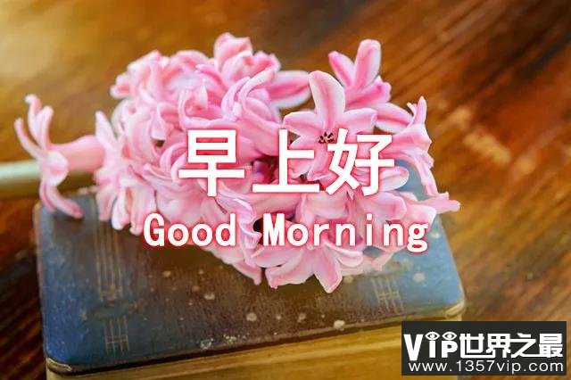 一天一句心情早安语