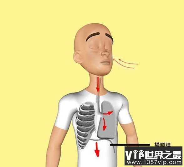 世界上肺活量最大的人，42分钟内吹出一个直径2.44米的大气球