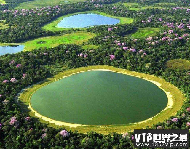 世界最大的湿地，面积达2500万公顷