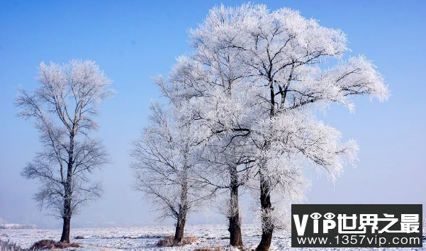 大雪的唯美文案 大雪节气发朋友圈