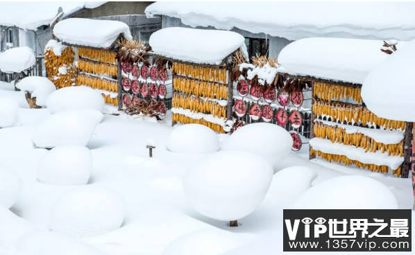 大雪的唯美文案 大雪节气发朋友圈