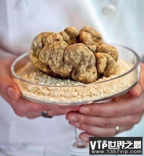 世界十大最昂贵的食材 蓝旗金枪鱼才第五