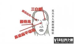 男人什么样的脸型有福相