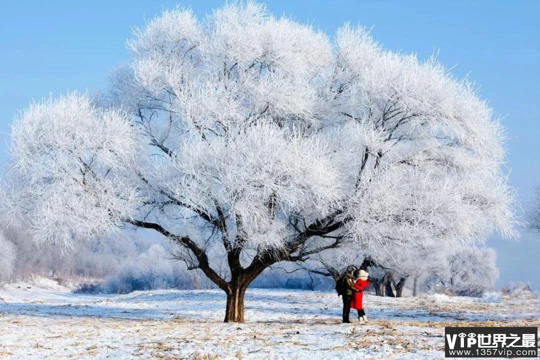 关于初雪的唯美文字