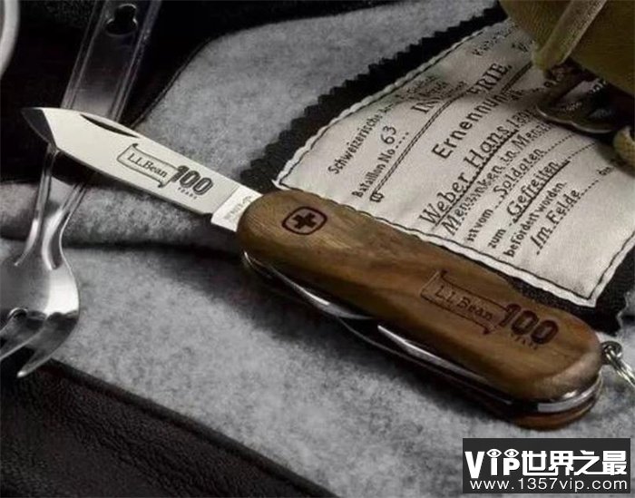 世界10大高端军刀有哪些(挺进者 Strider) 世界10大高端军刀有哪些(挺进者 Strider)