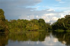 世界上最大的热带雨林 被称为地球之肺（亚马逊雨林）