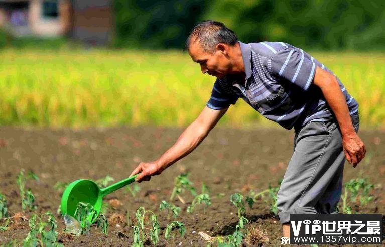 为什么年轻人不愿意种地 陕西一则报告说明（回乡种地）